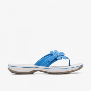 Blue Clarks Brinkley Flora | CLKS-84957