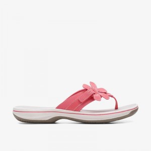 Bright Coral Clarks Brinkley Flora | CLKS-84981