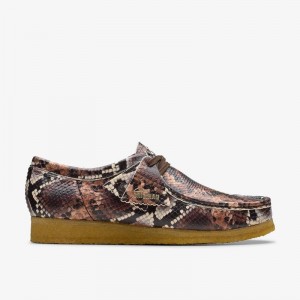 Brown Snake Print Clarks Wallabee | CLKS-84512