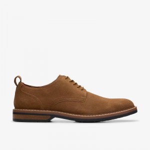 Cola Suede Clarks Aldwin Lace | CLKS-84360