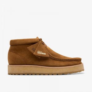 Cola Suede Clarks Wallabee Scout | CLKS-85606