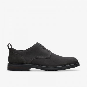 Dark Grey Suede Clarks Aldwin Lace | CLKS-84418