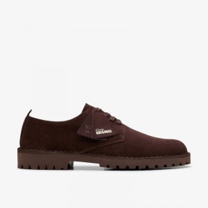 Deep Brown Suede Clarks Desert Rock Lo | CLKS-84340