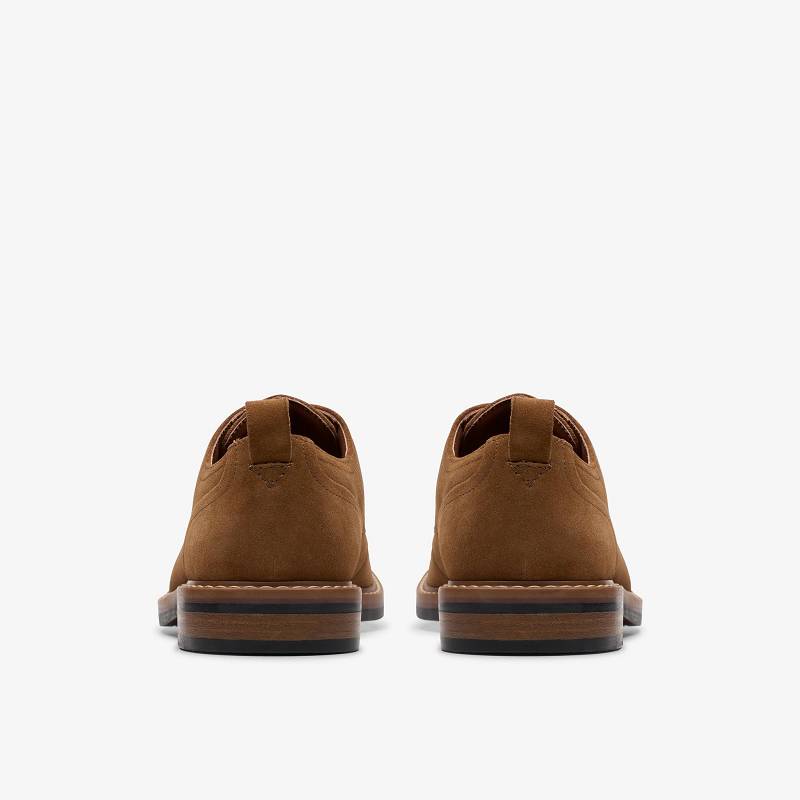 Cola Suede Clarks Aldwin Lace | CLKS-84360