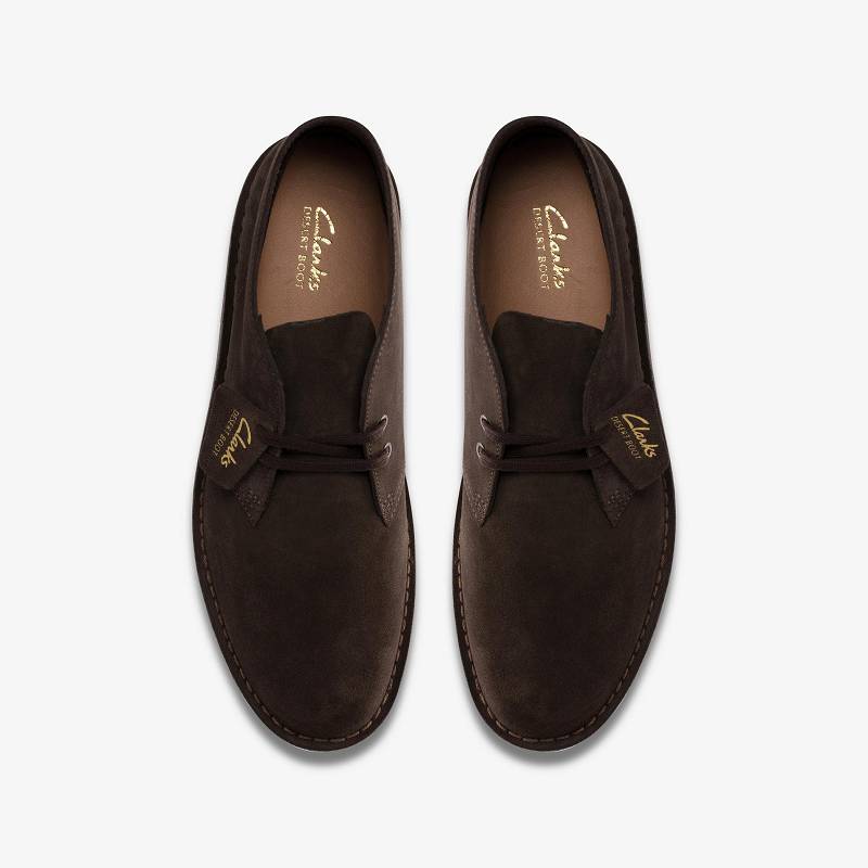 Dark Brown Suede Clarks Desert Boot Evo | CLKS-84603